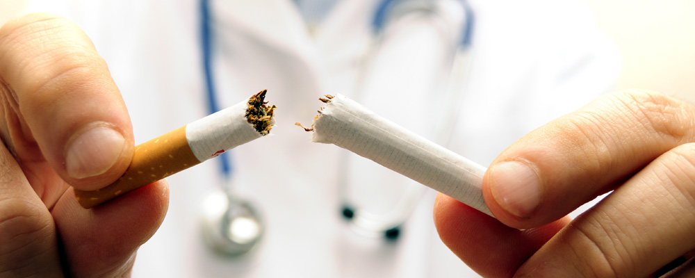 dan bez duvana 1000x400